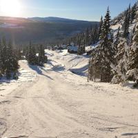 Svartbekklia 10 - B&B Fåvang