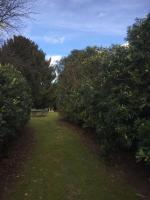 Sniperley Hall - B&B Durham