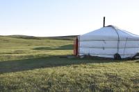 Nomad Equestrian Stable - B&B