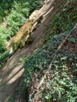 Casa aconchegante na serra - B&B Nova Friburgo