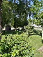 Cabañas EL BOSQUE - B&B Malargüe