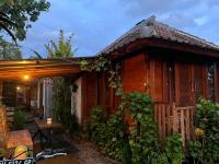 Ayolah surf House &Surf Camp - B&B