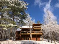 Blackberry Cabin, a cozy modern cabin - Bed and Breakfast Blue Ridge