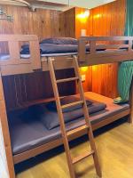 Bunk Bed in Male Dormitory Room