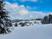 Schwarzwald Nescht Triberg - B&B