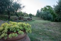 Villa Thesan - Chambres d'hôtes Volterra