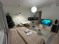 Apartment mit 1 Schlafzimmer