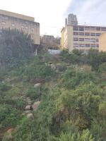 Modern 2 room apartment with stunning View - B&B Haifa