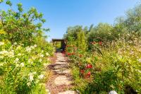 Laranjal Farm House - B&B Moncarapacho