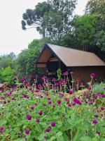 Cabana do Mato Waldhütte - B&B Treze Tílias