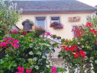 Gîte Bien-être, Sauna, Bain nordique à Soucht (57) - B&B Soucht