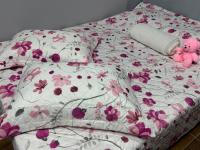 Studio com quarto e banheiro em frente ao Parque do Lago Acomoda até 2 pessoas 1 cama - B&B Guarapuava