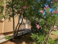 Apartments Katja - B&B Štinjan