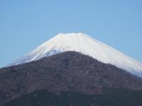 Luxury Suite with Mt. Fuji View
