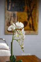 Camera Matrimoniale Standard