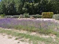 Le mas du Four a Chaux - B&B Gordes