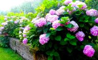 Appartamento dell'Uva - B&B Bardolino