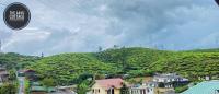 The Aayu Cottage - B&B Nuwara Eliya