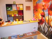 Vila Maior - Bed and Breakfast