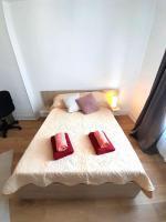 Bel Appart centre ville jardin - Ferienwohnung Châteauroux