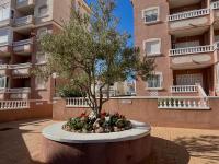 Oasis De Luz - B&B Torrevieja