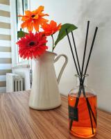 Appartamento con 2 Camere da Letto