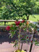 Au Prince Albert, 4 pers, Old Town, High standing - Ferienwohnung Boulogne-sur-Mer