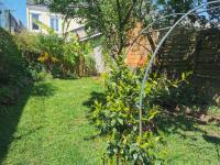 Hébergement confortable Le Mans - Bed and Breakfast