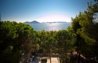 Apartments Vrgada - Chambres d’hôtes Drage