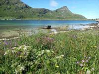 Lofotenhaus direkt am Skjelfjord - B&B Skjelfjord