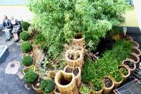 Messe-Zimmer TuS-Treff - Chambres d’hôtes Düsseldorf