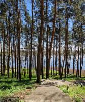 ApartHotel&OasisRelaxa - Bed and Breakfast Serock