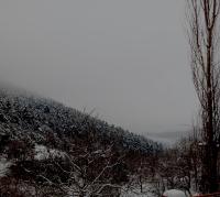 Ξενώνας με Θέα τα Έλατα - B&B Chrysovítsi