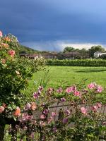 Casa del Grivò - Alloggio Luna - B&B Canal di Grivò