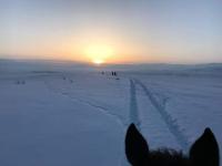 Horse riding&Kyzart Homestay - B&B