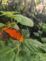 Posada Maná - B&B San Juan La Laguna