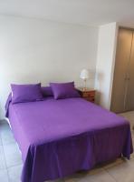 Appartement-Studio avec 1 Lit Double