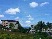 Boucan vue mer et manguiers - B&B Saint-Gilles les Bains