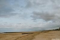 Petit nid en bord de mer - B&B