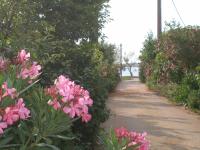 Studio avec Vue sur Jardin