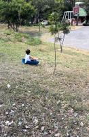 Apartamentos Novoa - B&B San José