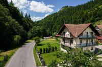 Transylvania Hut - B&B Moieciu de Sus