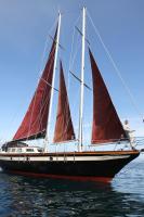 Black-Lady - B&B Toftir