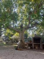 LE Mas Pacha - B&B