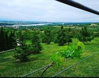 Čerevićki Raj - B&B Čerević