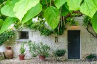 Maison de campagne sud Touraine avec piscine 8px - B&B Crouzilles