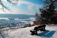 Appartement Supérieur 1 Chambre