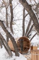 D2 Dino Dome- 2 Dbl Beds - Pet friendly - B&B Drumheller