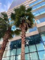 Apto com sacada - JH Palhano - B&B Londrina