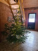 Gliemji - B&B Krāslava